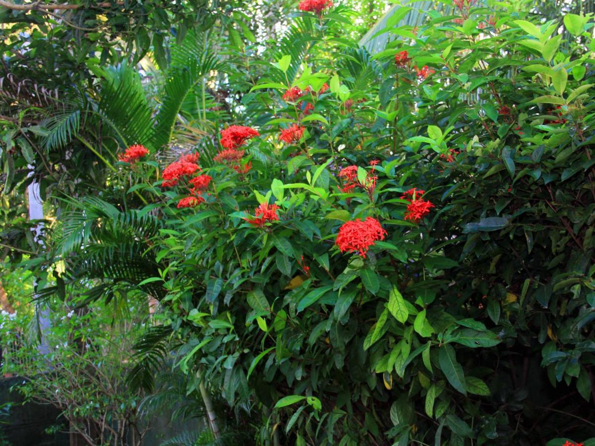 Lotus Villa Mirissa Buitenkant foto
